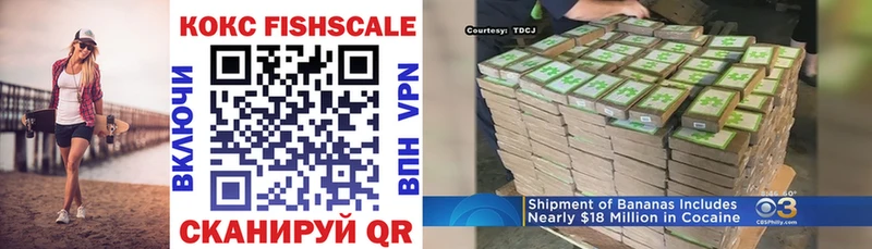 COCAIN FishScale  Купить закладки  Бирюч 