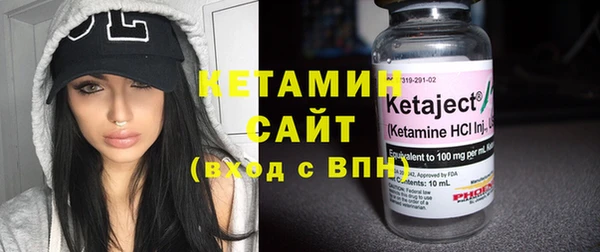 гидра Ельня
