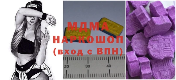 гидра Ельня