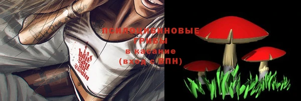 первитин Елабуга