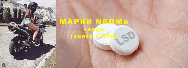 гидра Ельня