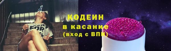 гидра Ельня
