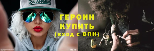 гидра Ельня