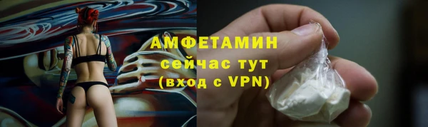 гидра Ельня