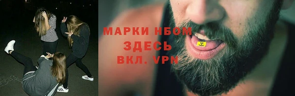 гидра Ельня