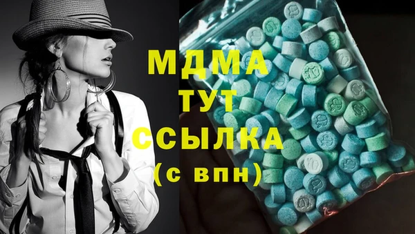 гидра Ельня