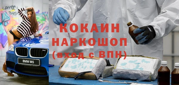 гидра Ельня