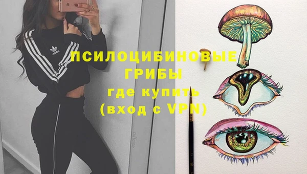 гидра Ельня