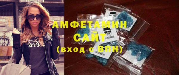гидра Ельня