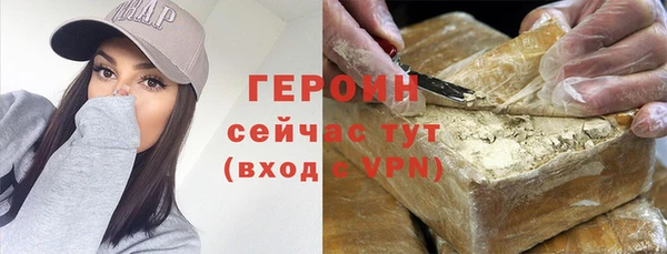 гидра Ельня