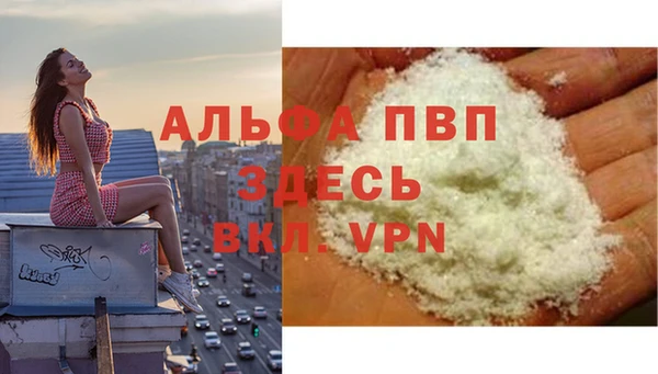 гидра Ельня