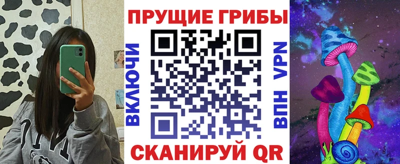 Псилоцибиновые грибы MAGIC MUSHROOMS  Купить закладки  Бирюч 